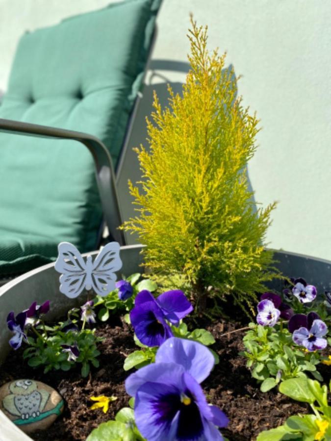 Apartmany U Rybnicka Pribraz 外观 照片